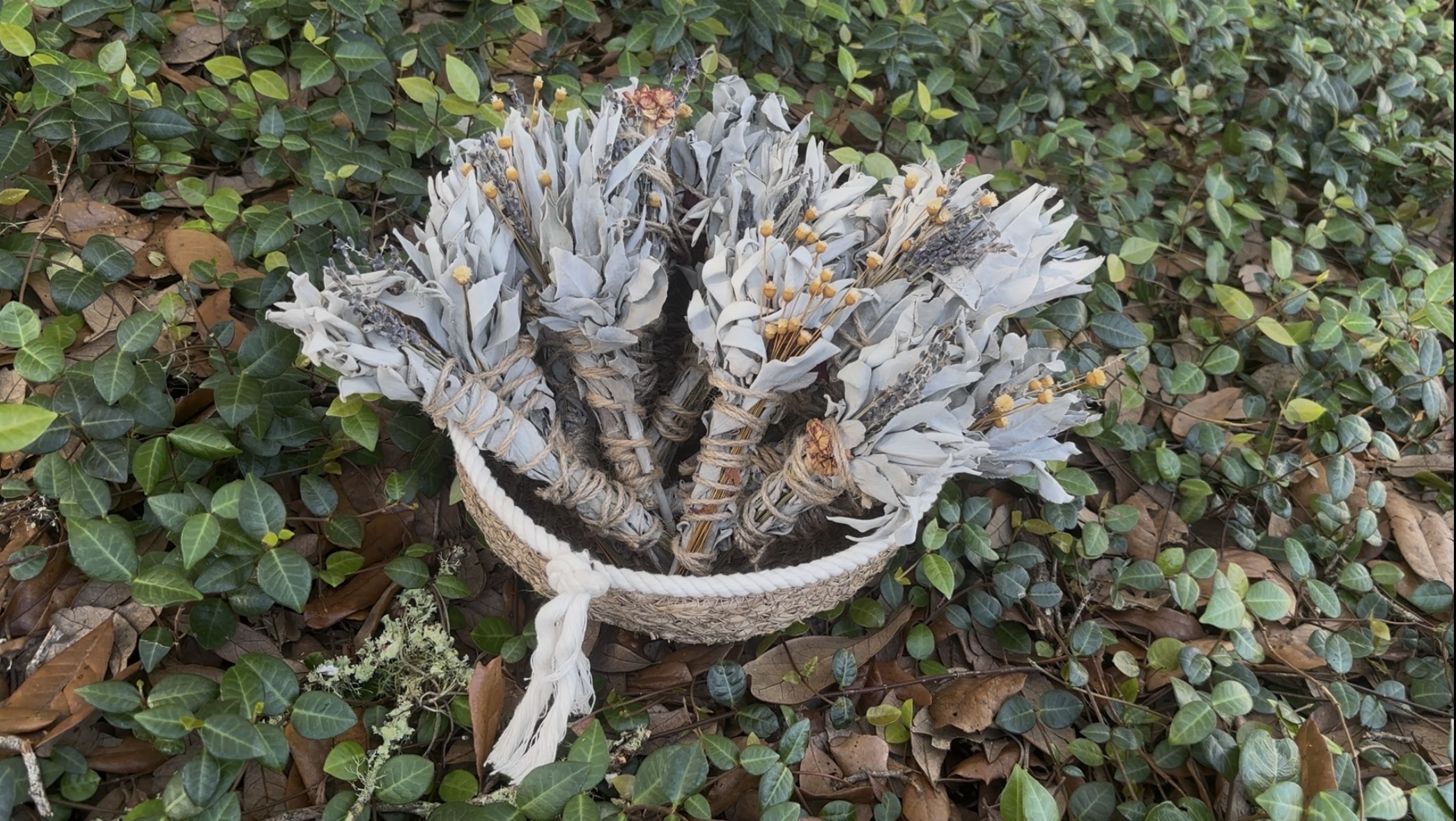 Sage Bundle